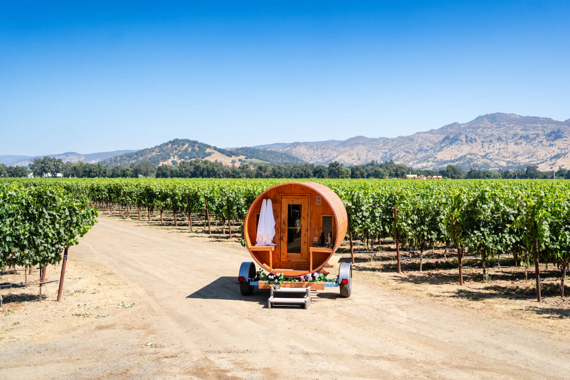 A small trailer with a barrel on it in the middle of a vineyard.